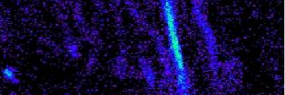 Laboratory for Neuroscience Research